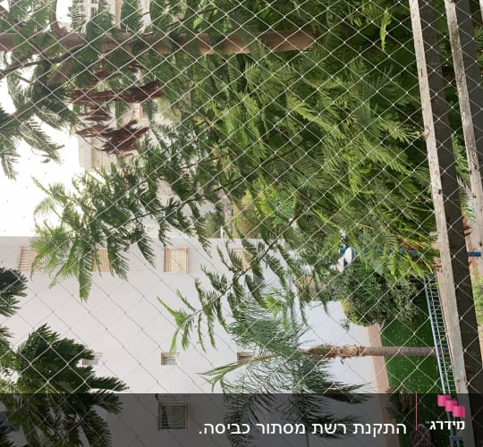 רשת מתכת על רקע עצים ירוקים